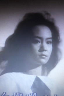 劉雪華