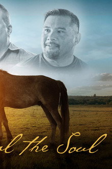 Where the Horses Heal the Soul