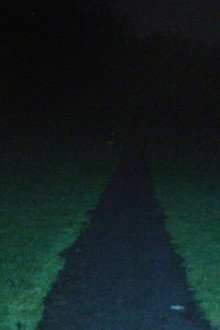 LEASH