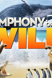 Symphony of the Wild