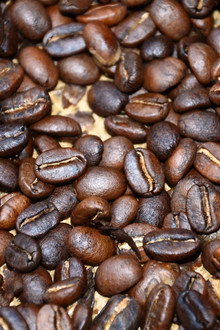 Black Gold