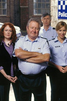 Blue Heelers