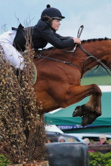 The Showjumper Murder