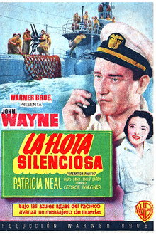 La flota silenciosa