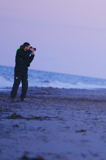 Last of the Right Whales