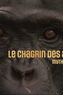 Le chagrin des animaux : mythe ou réalité ?