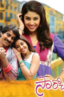 సారొచ్చారు