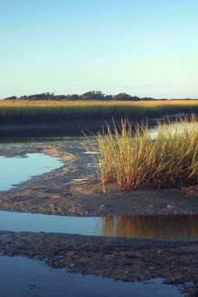 Tides