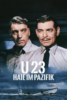 U 23 - Haie im Pazifik