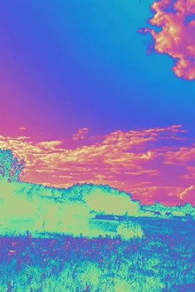 NEO-VIBE