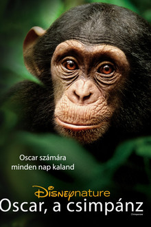 Oscar, a csimpánz