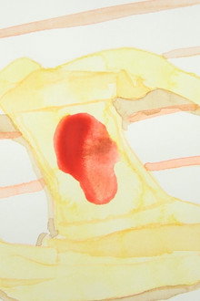 Carne
