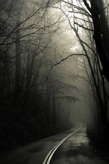 Screamwalkers