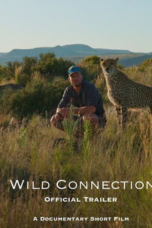 Wild Connection