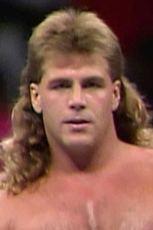 Shawn Michaels: Hits from the Heartbreak Kid