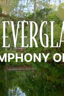 The Everglades: A Symphony of Life