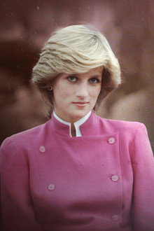 The Diana Investigations
