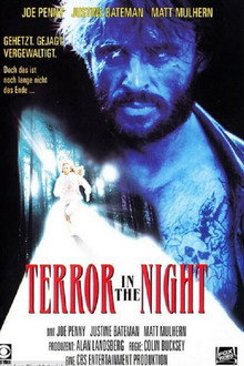 Terror in the Night