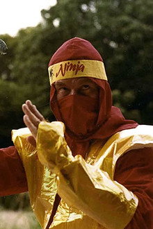 Cobra Against Ninja