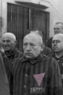 El Triángulo Rosa y la cura Nazi para la Homosexualidad