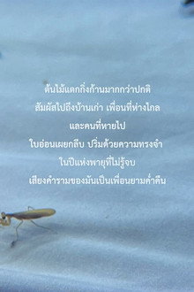 Год вечной бури