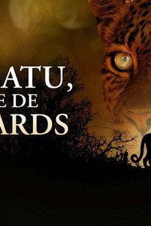 Mashatu: Land of Leopards