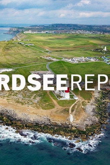 Nordsee-Report