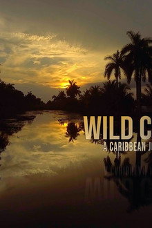 Cuba, révolution sauvage