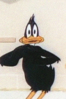 Daffy Doodles