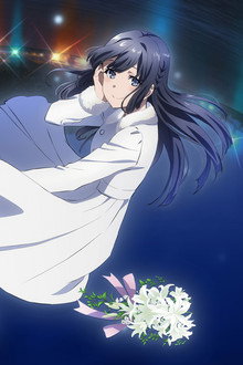 Rascal Does Not Dream of a Dreaming Girl