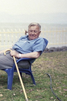 Kollek