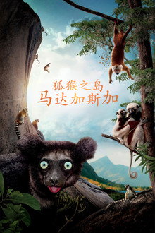 马达加斯加:狐猴之岛
