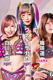 FIBREPLEX presents NEW BLOOD 2
