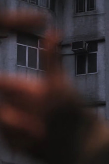 斯悅
