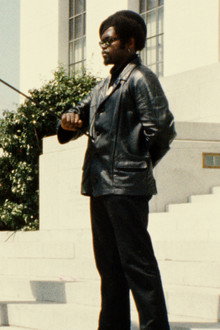 Black Panthers
