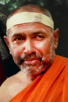 සූරිය අරණ