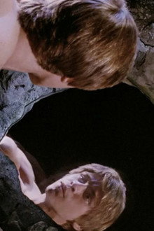 Narcissus