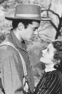The Farmer Takes a Wife