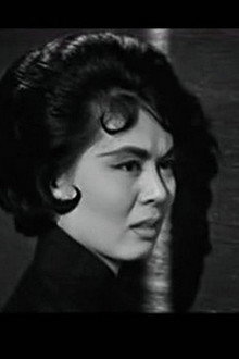 不了情