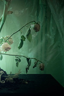 Génesis: El Jardín de las Moscas