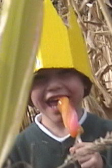 The Ice Lolly King