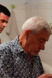 La sombra del roble