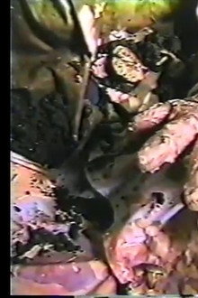 Gore Gore Gays