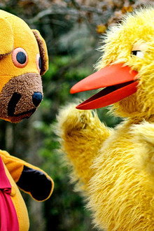 Bamses lillebitte billedbog