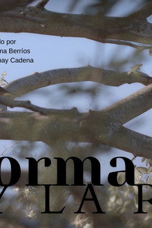 La forma y la raíz
