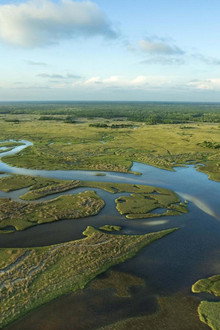 National Parks Exploration Series: The Everglades