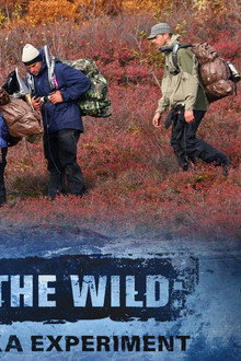 Out of the Wild