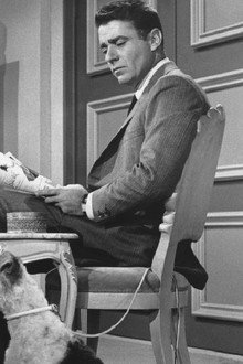 The Thin Man
