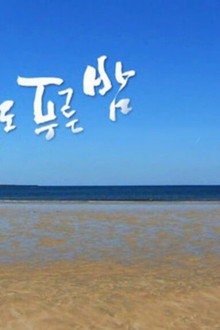 드라마 시티: 제주도 푸른밤