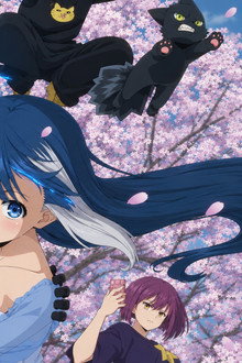 Mission: Yozakura Family